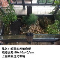 80厘米超豪华养殖套餐 