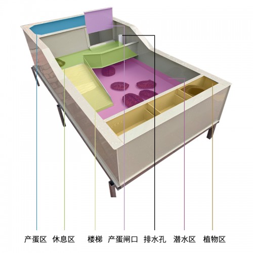 多功能生态龟箱