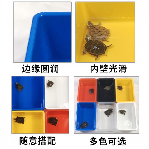 爬宠塑料发色盒 乌龟发色盒 红色黑色黄色蓝色白色透明可选择