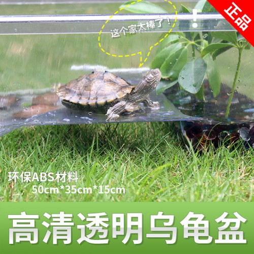 乌龟缸（透明、浅灰色可选） 水龟饲养盒 带晒台 带沙池龟箱龟池50x35x15cm