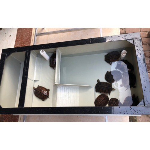 定制 乌龟缸种龟箱龟池特大号大带产蛋沙池家用巴西养龟箱PP塑料生态缸
