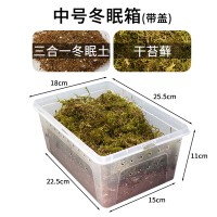 中号冬眠箱2(三合一垫材&苔藓) 送喷水壶 