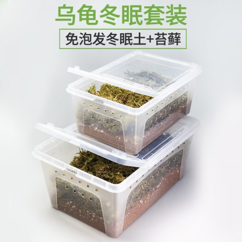 冬眠饲养盒 内含苔藓椰土蛭石头 乌龟爬宠均可使用
