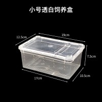 小号透白饲养盒(19x12.5x7.5cm) 