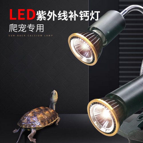 LED乌龟爬宠晒背灯