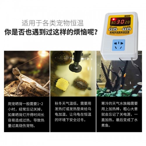 爬宠网 养殖专用智能温控器 安全防煲汤 最高35度