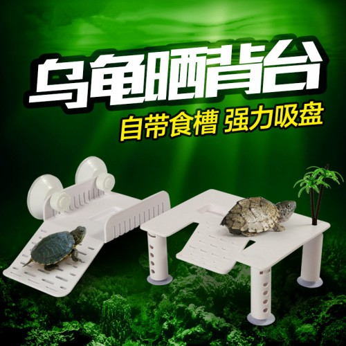 乌龟白色晒台