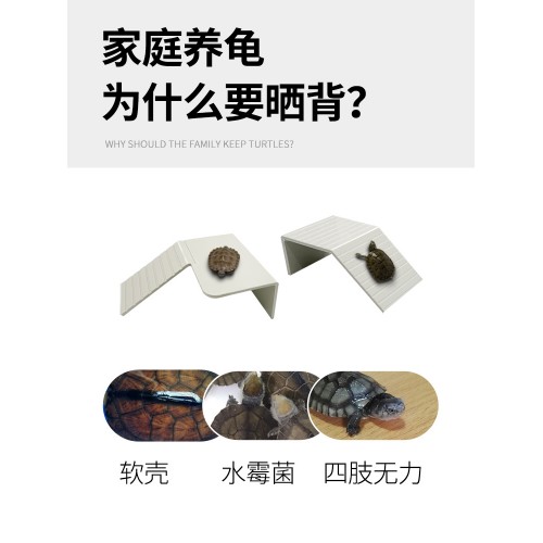 乌龟爬坡晒背台（5个规格选择）爬宠晒台 浮台 浮岛 休息台 躲避 手工制作 厚实