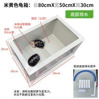 米黄色龟箱80m x 50cm  x30cm 